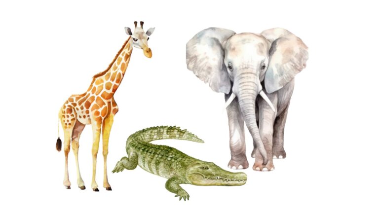 Zvířata ze Zoo