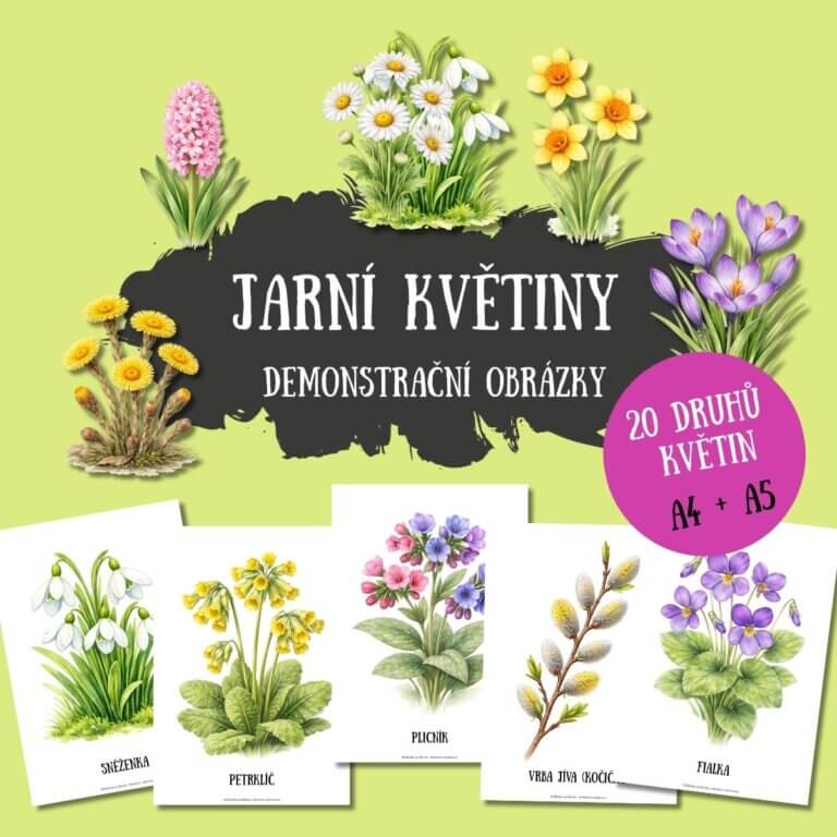 Jarní květiny - demonstrační obrázky - v PDF k vytisknutí – výukový materiál a demonstrační karty pro děti z e-shopu