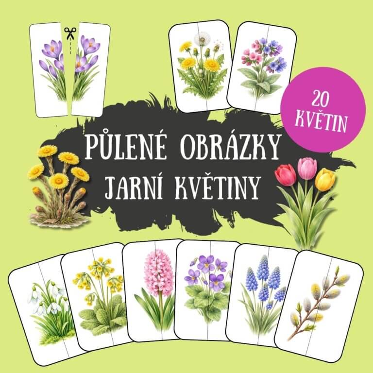 Jarní květiny - půlené obrázky - v PDF k vytisknutí – výukový materiál a puzzle pro děti z e-shopu