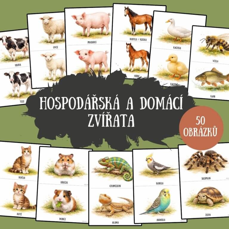 Hospodářská a domácí zvířata - 50 obrázků - v PDF k vytisknutí – výukový materiál a demonstrační karty pro děti z e-shopu