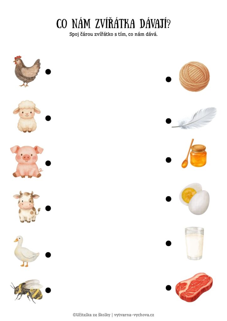 Co nám zvířátka dávají?